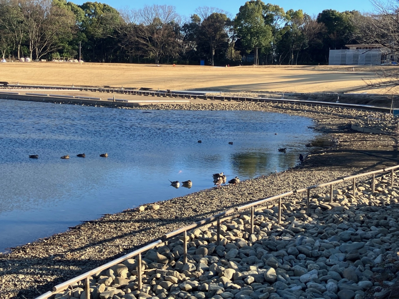 春にオープン！ただ今工事中　【多摩中央公園】