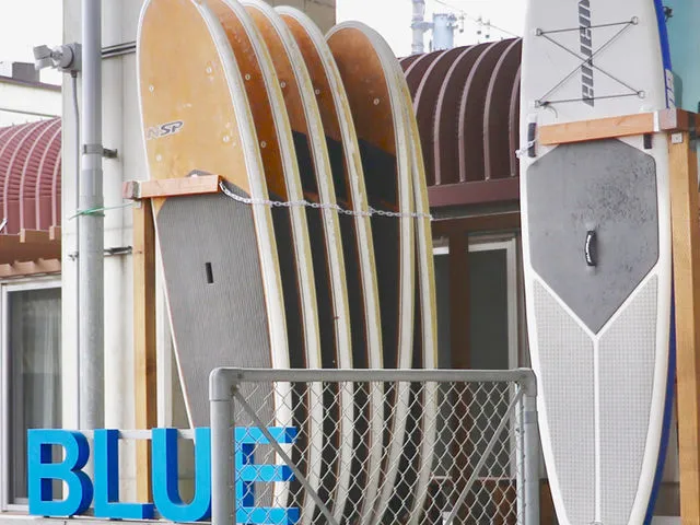 多摩川でサップ体験☆【BLUE TAMAGAWA OUTDOOR FITNESS】