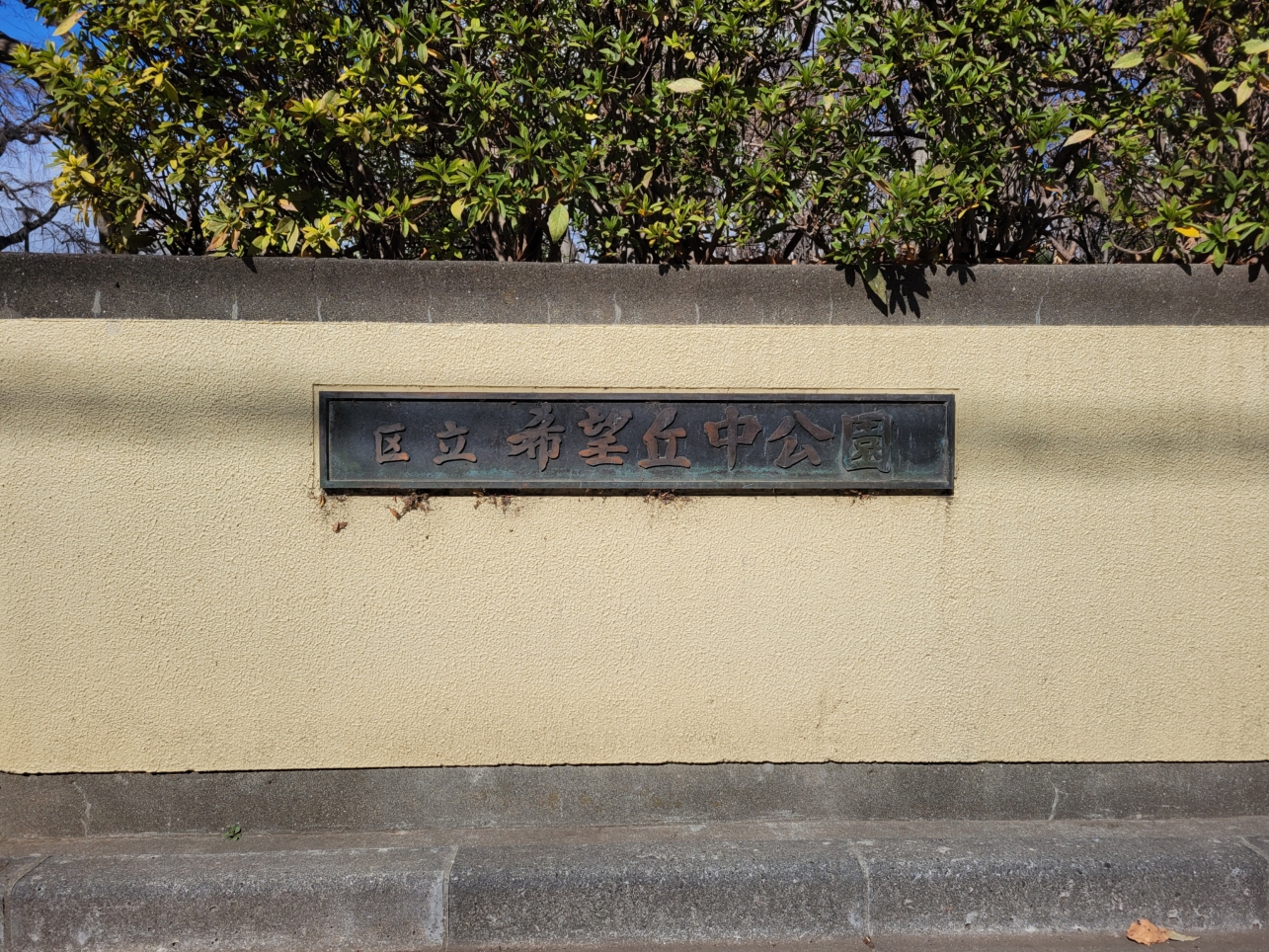 あみなし公園【希望丘中公園】