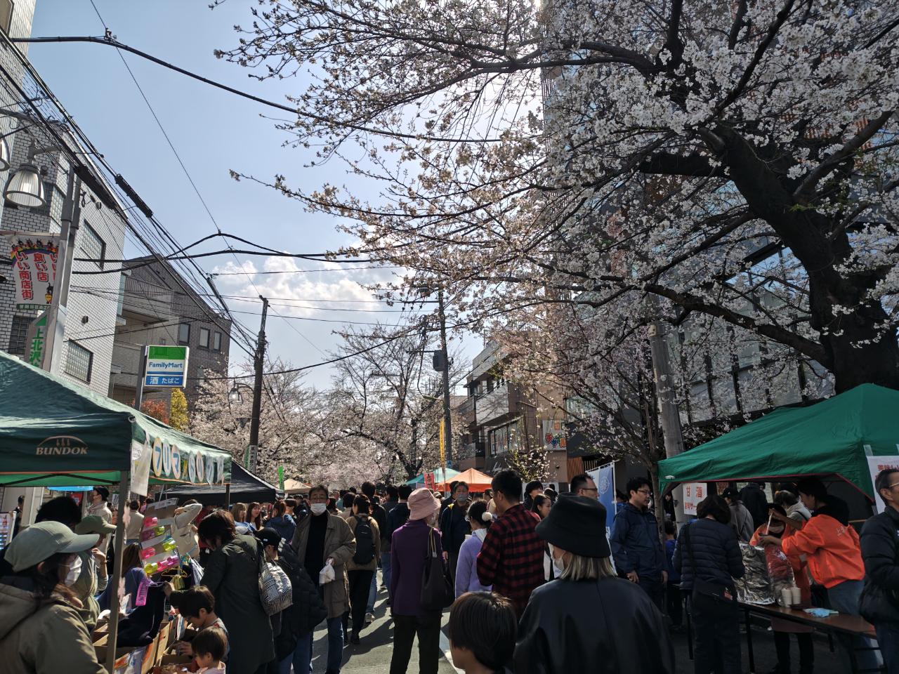 ☆桜まつり～上北沢☆