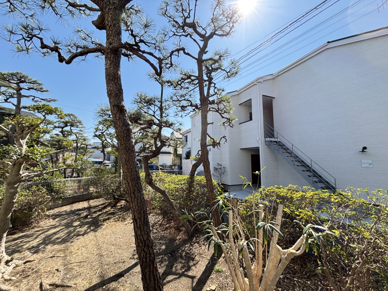 広い間取りにキレイなキッチン！！ベルビュー茅ヶ崎