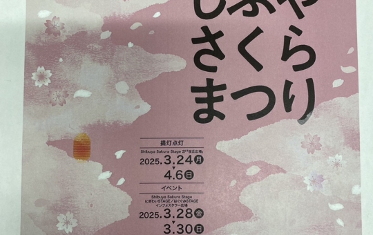 🌸第33回しぶやさくらまつり🌸