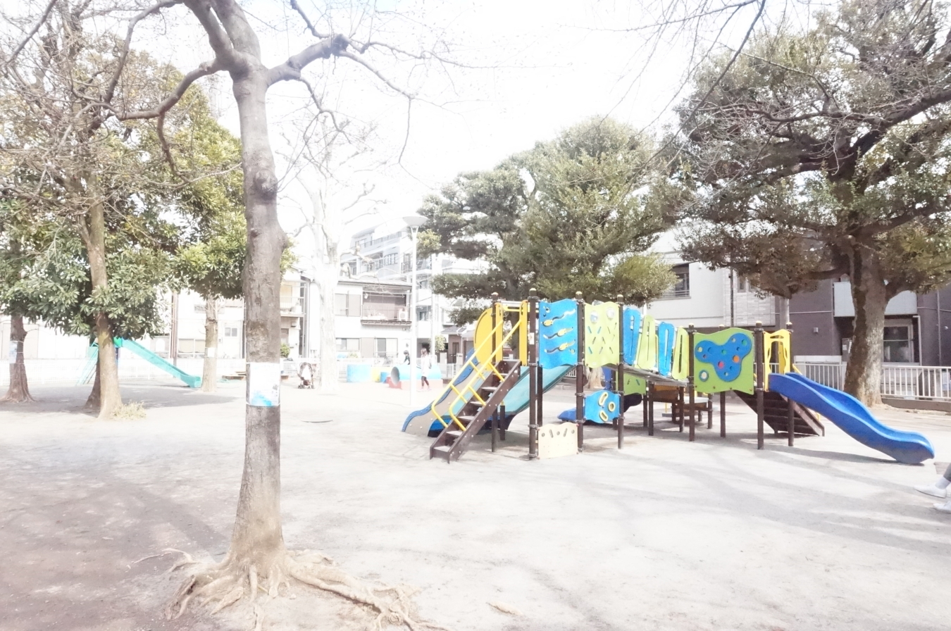 え？ポニー？！住宅街の公園で会えます！