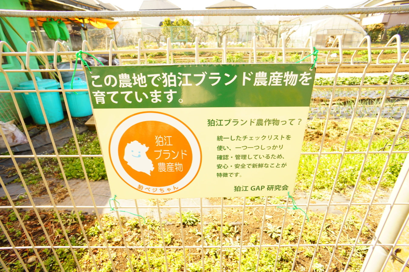 狛江の地産地消！狛江ブランド農産物♪