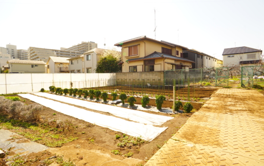 狛江の地産地消！狛江ブランド農産物♪