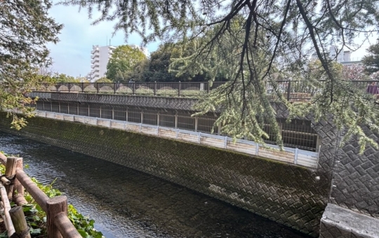 そろそろ桜の季節です☆お花見を楽しめるには哲学堂公園がオススメ☆