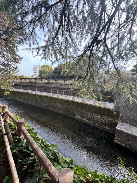そろそろ桜の季節です☆お花見を楽しめるには哲学堂公園がオススメ☆