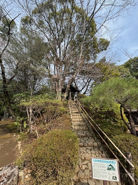 そろそろ桜の季節です☆お花見を楽しめるには哲学堂公園がオススメ☆