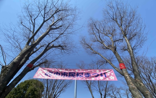 ☆２０２５年第５４回府中市民さくらまつり☆