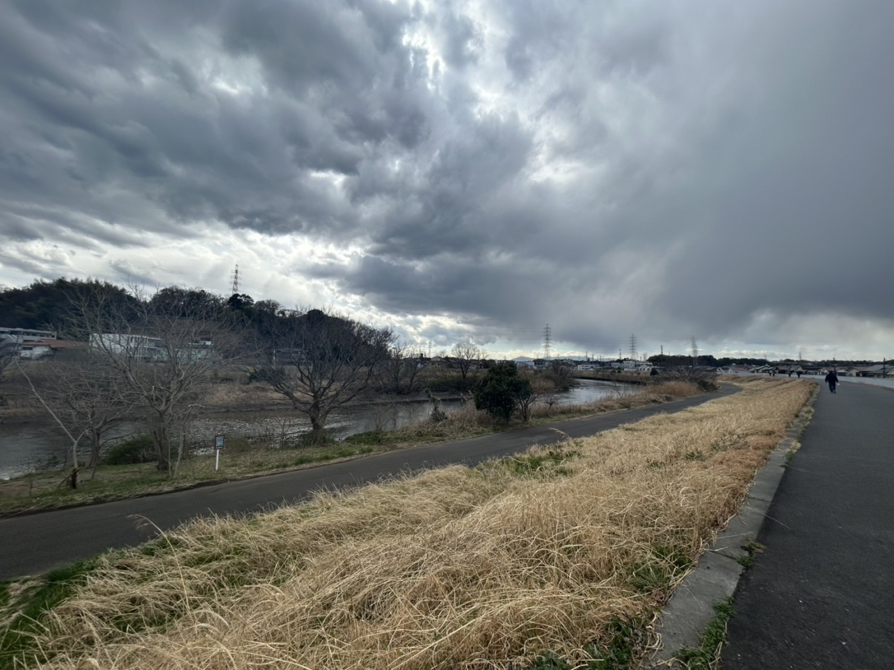 鶴見川と長閑な河川敷🏃‍♂️
