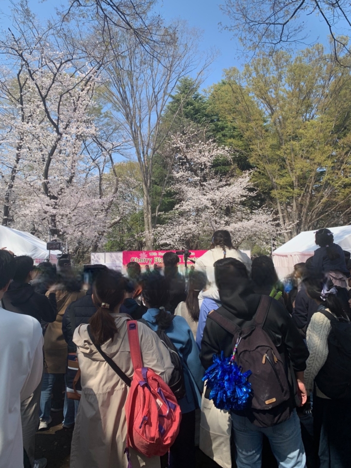ねりま光が丘　Cherry　Blossom　Festa