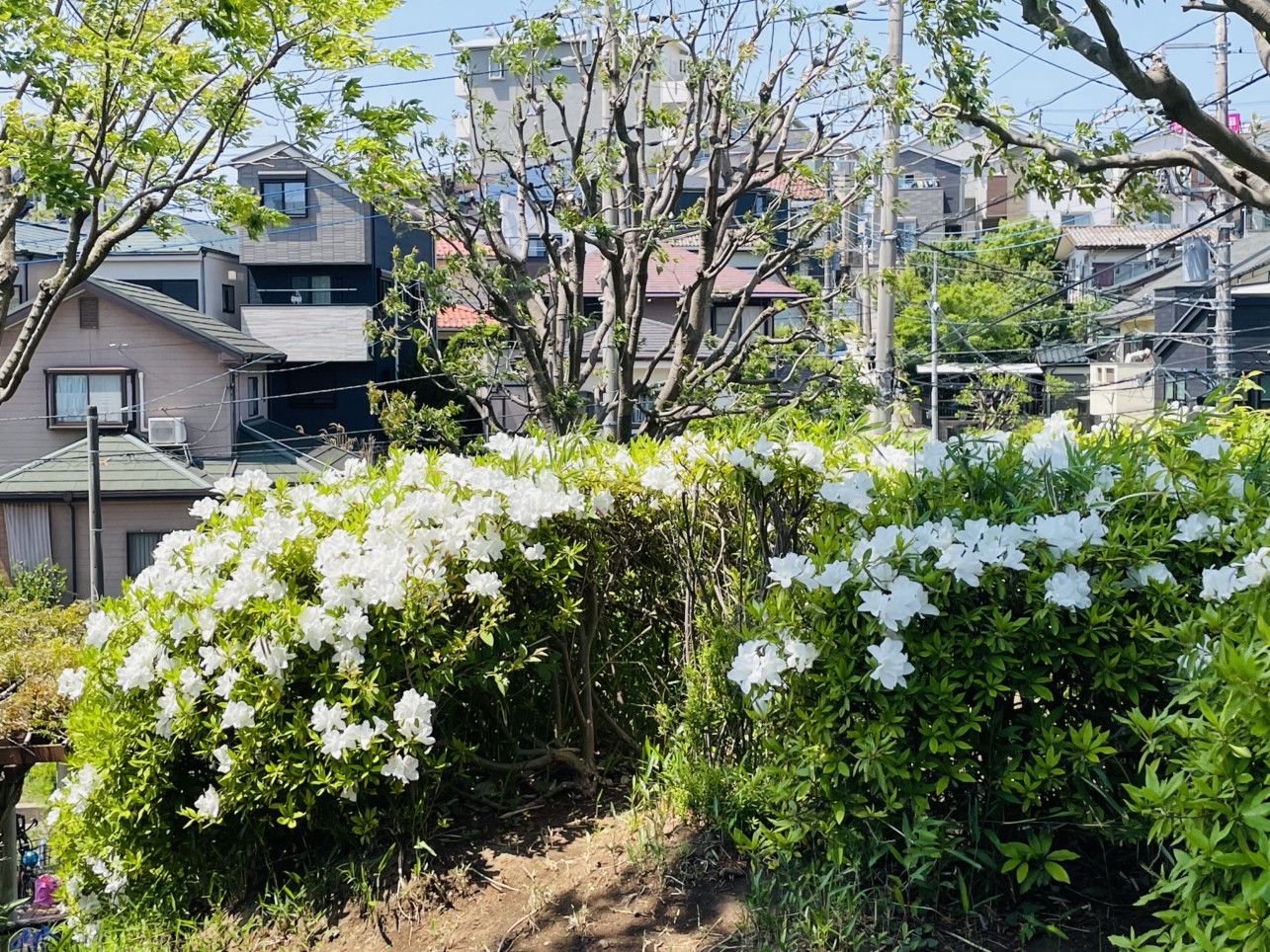 【旭区】出刈場公園