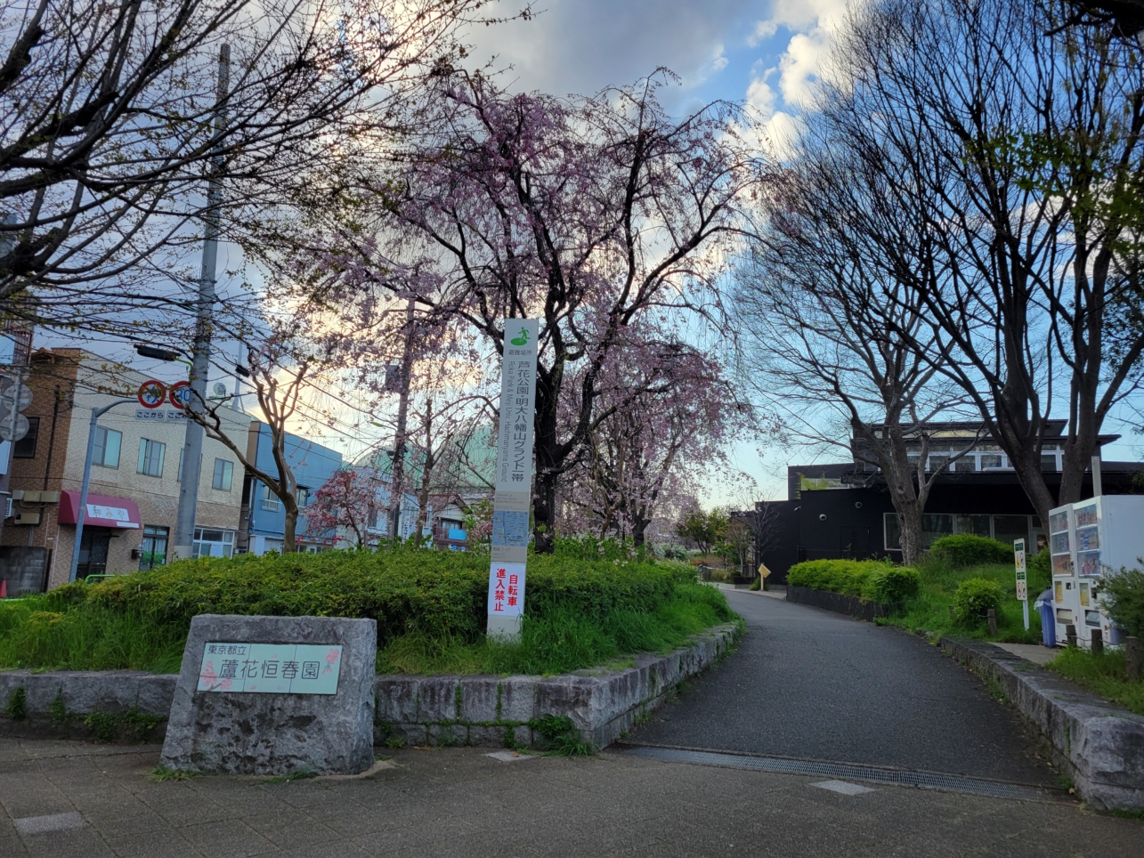 春の蘆花恒春園・花の丘2025🌸