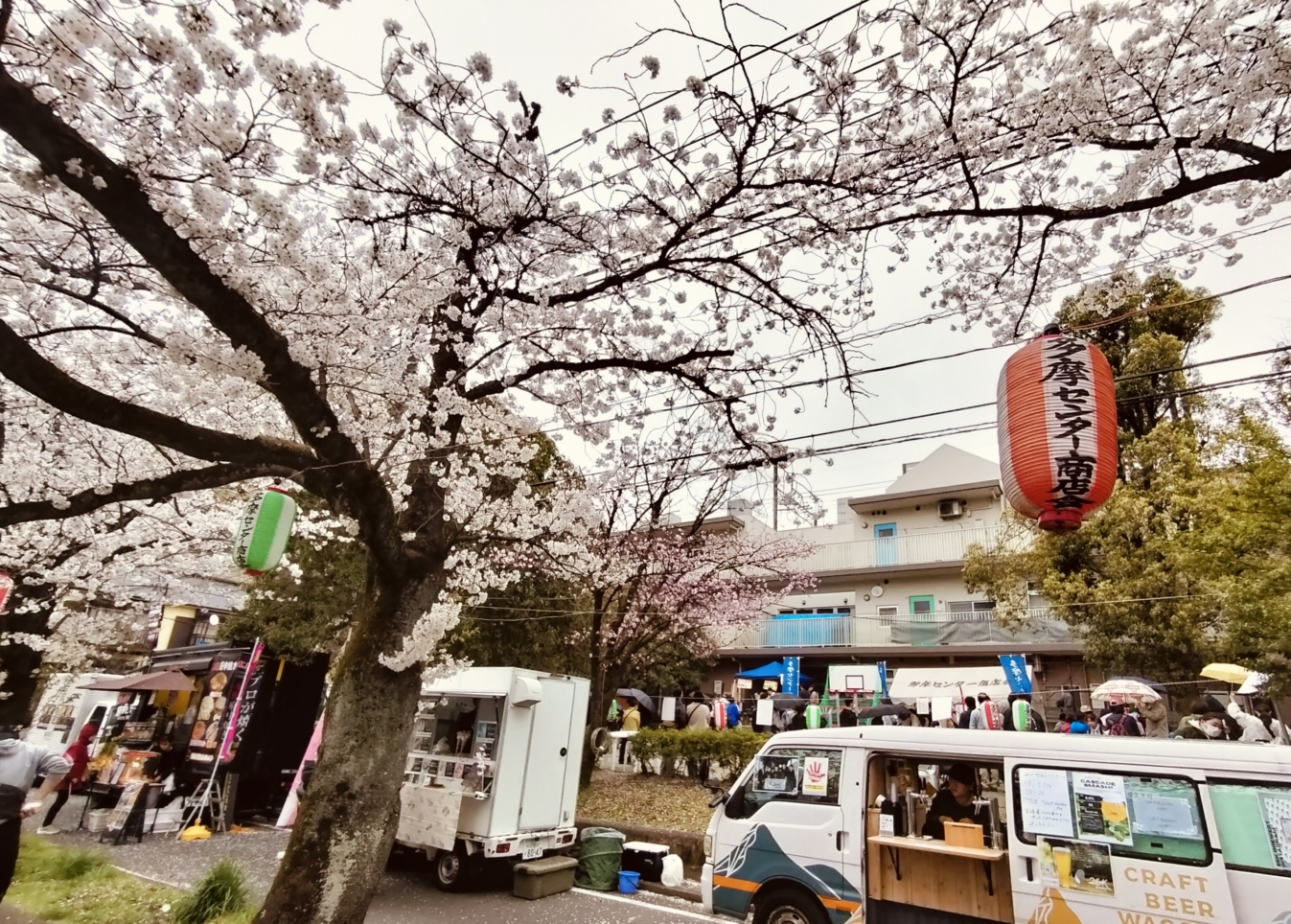 子供に優しい桜祭り【長久保公園】