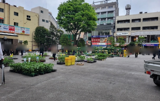 烏山区民センター前広場☆【チャリティー園芸市】