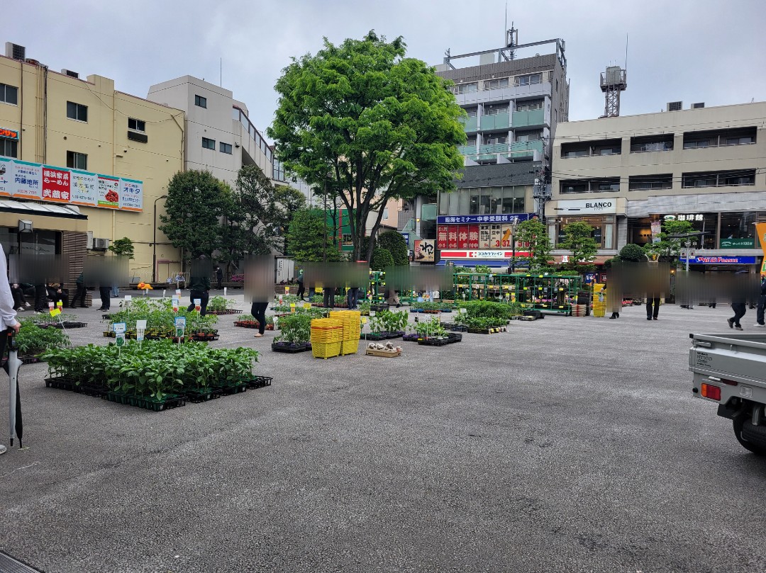烏山区民センター前広場☆【チャリティー園芸市】