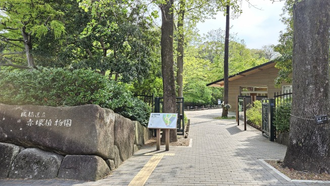 ★★これからが見頃♪色んなお花に出会えます(^^♪　《🌷板橋区立赤塚植物園🌷》