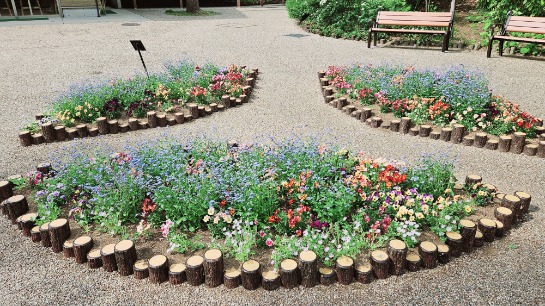 ★★これからが見頃♪色んなお花に出会えます(^^♪　《🌷板橋区立赤塚植物園🌷》
