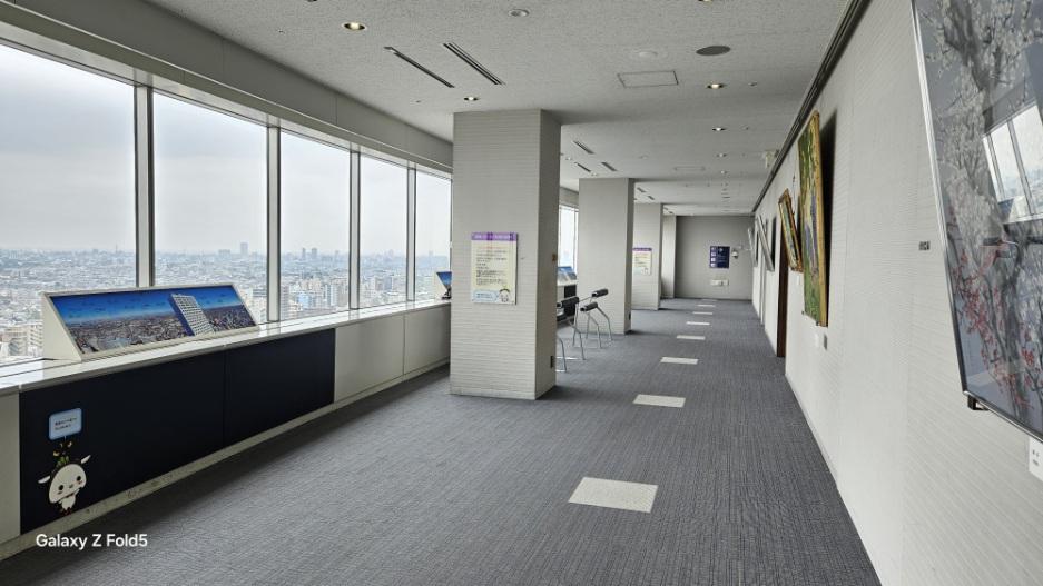 いい眺め～♪練馬区内最高のビューポイント《練馬区役所展望台》