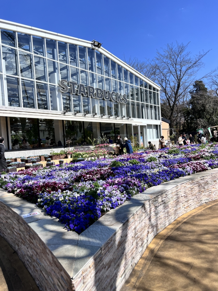 よみうりランドにある新感覚フラワーパークＨＡＮＡＢＩＹＯＲＩ🌸