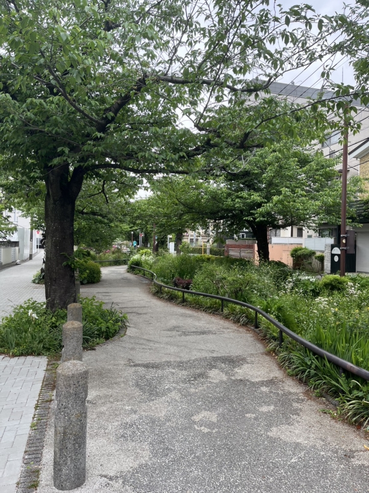 閑静な下北沢？！～北沢川緑道～