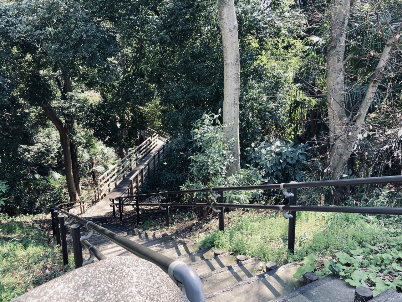 【旭区】南本宿公園