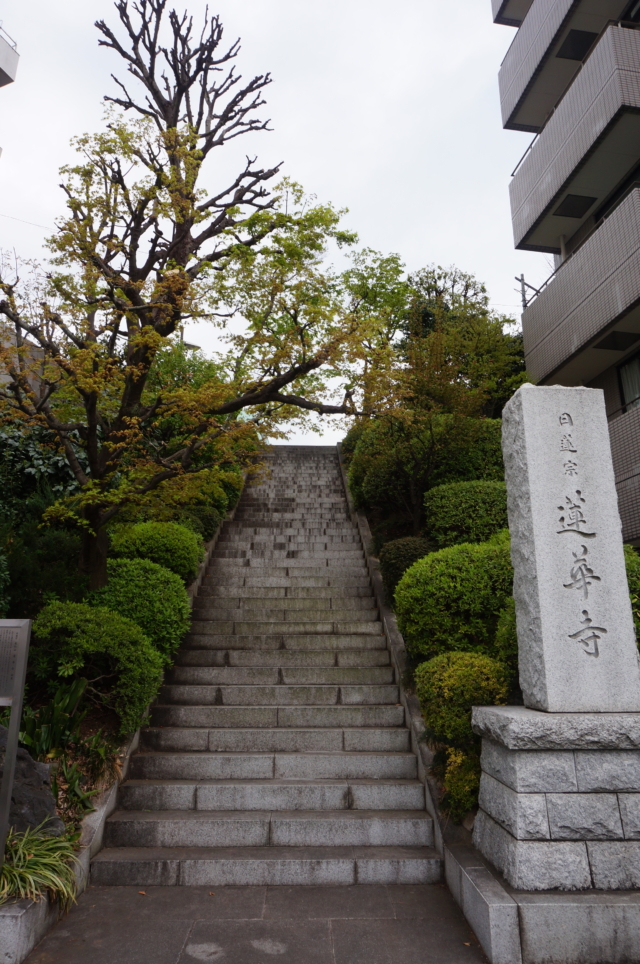 都会にある情緒あふれるお寺☆蓮華寺