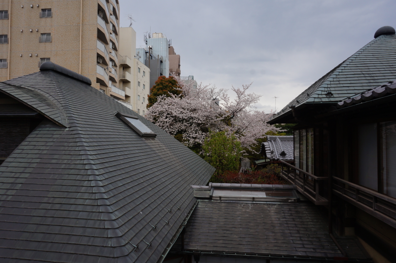 都会にある情緒あふれるお寺☆蓮華寺