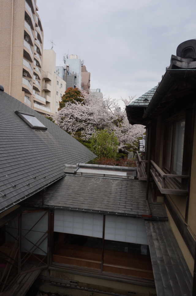 都会にある情緒あふれるお寺☆蓮華寺