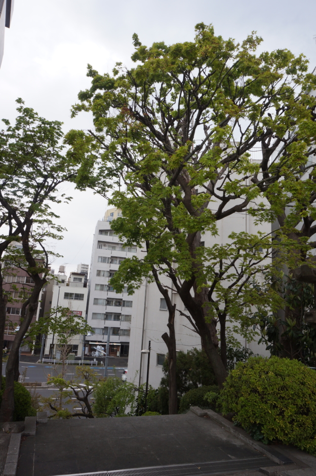 都会にある情緒あふれるお寺☆蓮華寺