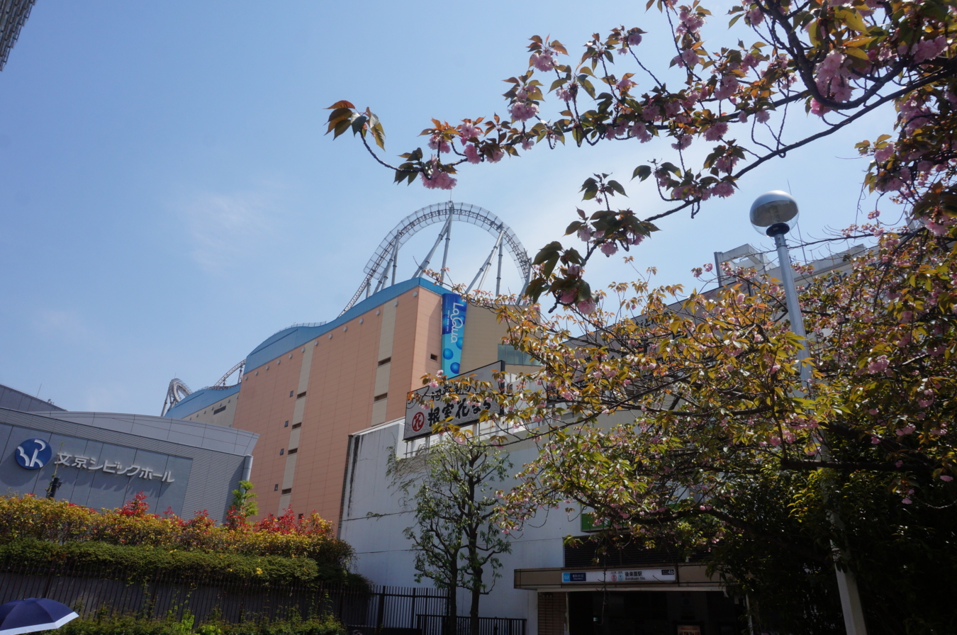 【後楽園】都会のオアシス～文京区立礫川公園～