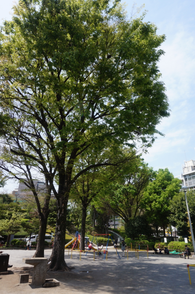 【後楽園】都会のオアシス～文京区立礫川公園～