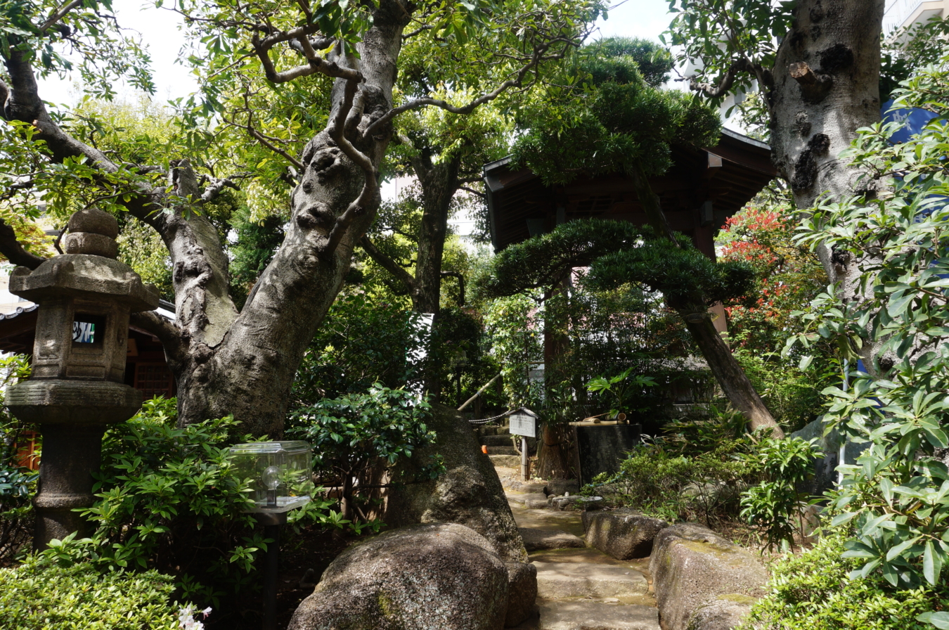 こんにゃくえんま！？人気パワースポット☆文京区のお寺【源覚寺】