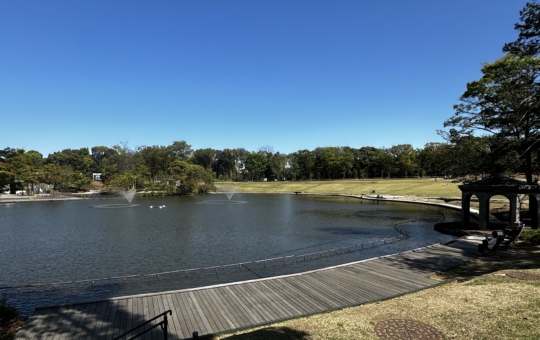 多摩中央公園リニューアル☆