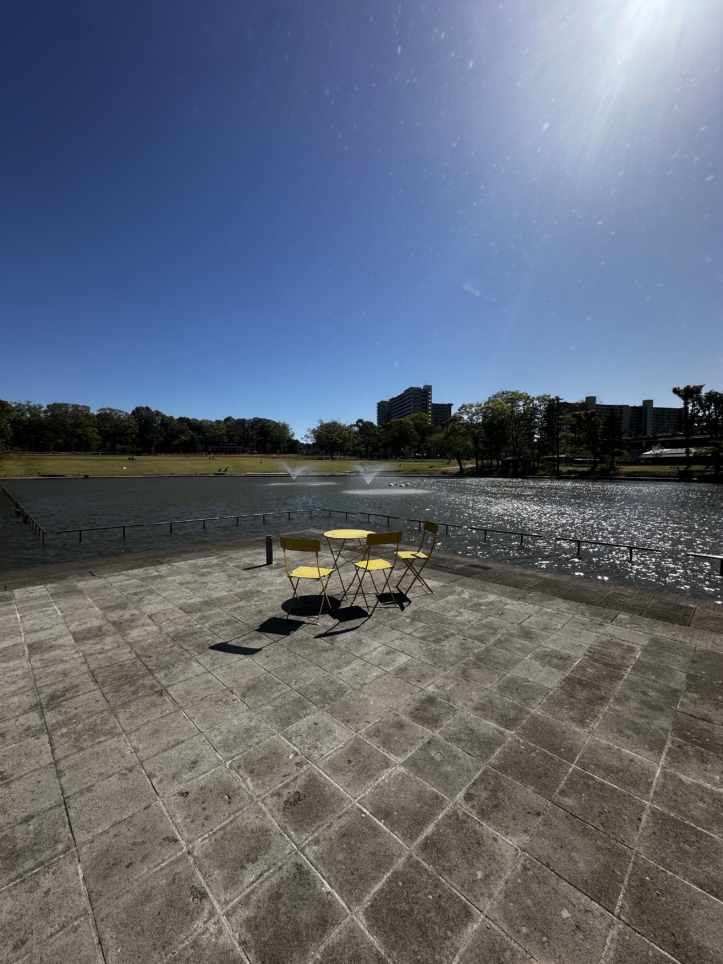 多摩中央公園リニューアル☆