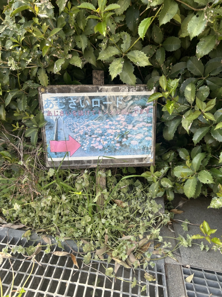 新百合ヶ丘にあるウグイスの声が心地いいところ♪