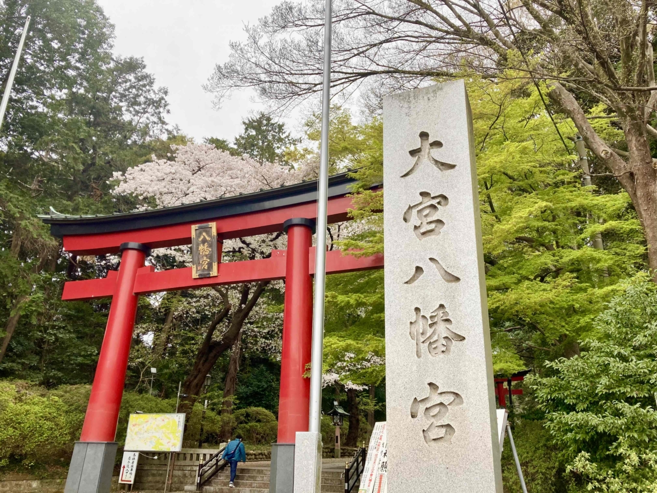 桜🌸