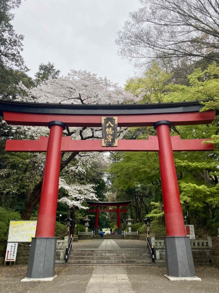 桜🌸