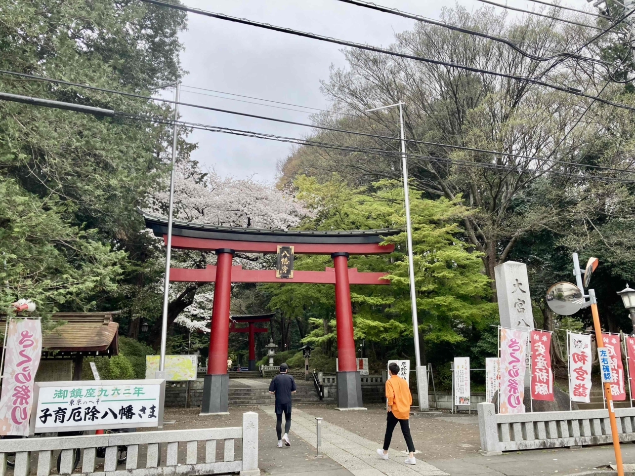 桜🌸