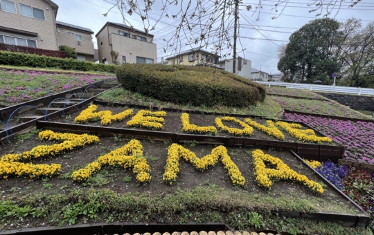 春のかにが沢公園