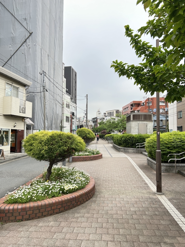 反町から横浜に続く緑道、「東横フラワー緑道」です！