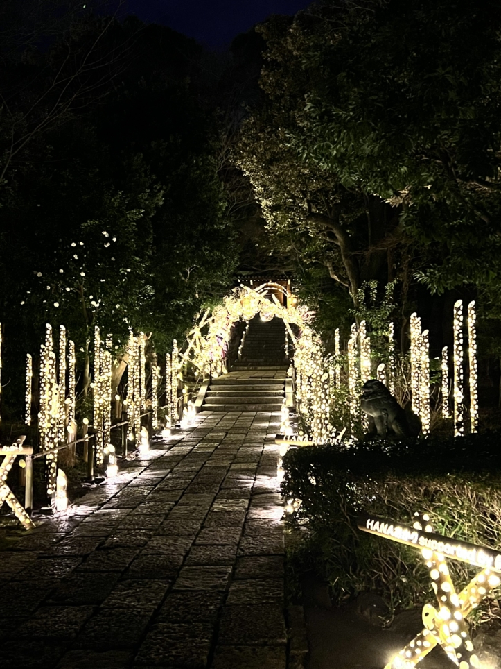 よみうりランドにある新感覚フラワーパークＨＡＮＡＢＩＹＯＲＩ🌸
