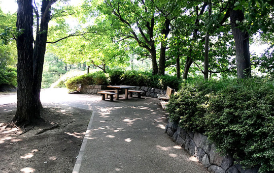 自然を感じる、万福寺檜山公園