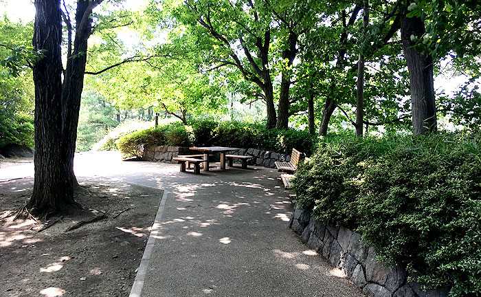 自然を感じる、万福寺檜山公園