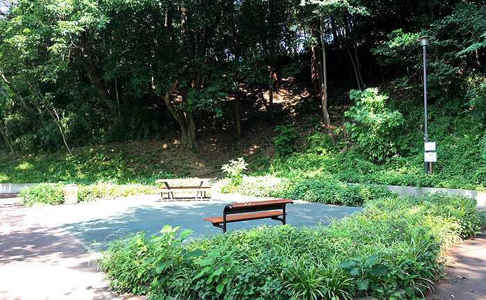 自然を感じる、万福寺檜山公園