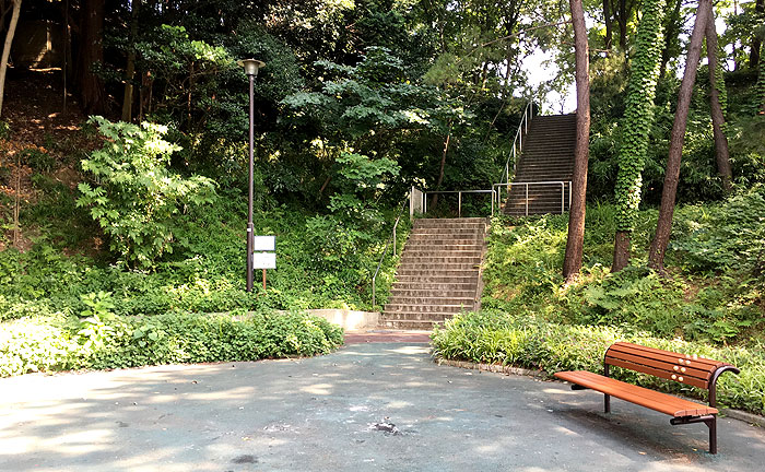 自然を感じる、万福寺檜山公園