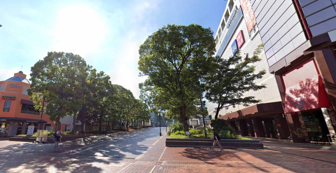 緑が織りなす圧巻の風景☆パルテノン大通り！