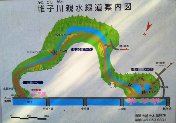 【旭区】帷子川親水緑道