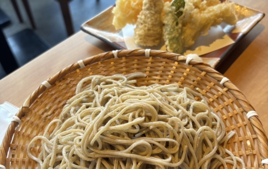 桜並木が目の前のお蕎麦屋さん☆【手打ち蕎麦 柿ノ木】