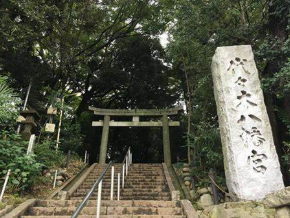 毎年、人気！催し盛りだくさんの金魚まつり！(代々木八幡宮)